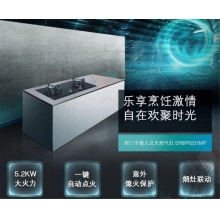 西门子燃气灶 ER8PR231MP                            